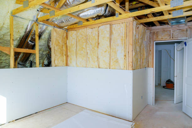 Best Insulation Installation Services in Elm City, NC