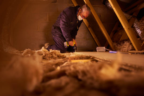 Best Commercial Insulation in Elm City, NC