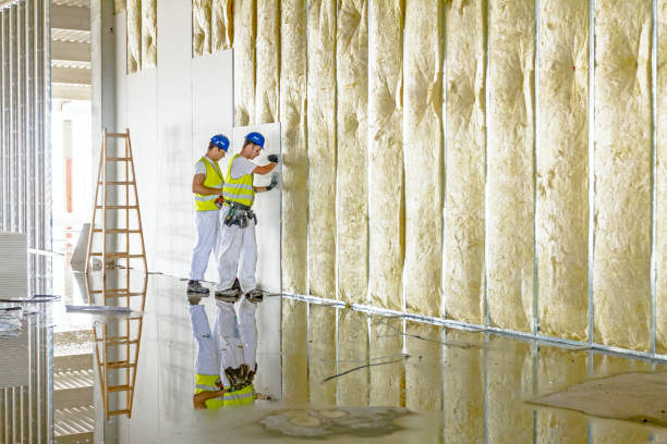 Best Insulation Maintenance and Repair in Elm City, NC